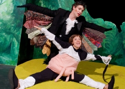 Alle Kühe fliegen hoch