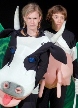 Alle Kühe fliegen hoch