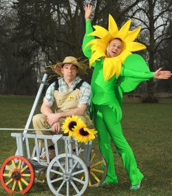 sonnenblume-2