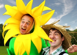 sonnenblume1