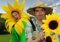 sonnenblume3